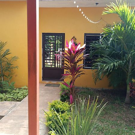 Casa Flores Bacalar Exterior foto